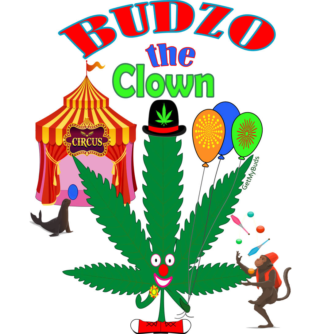 Budzo - Multisex Tri-Blend T-Shirt