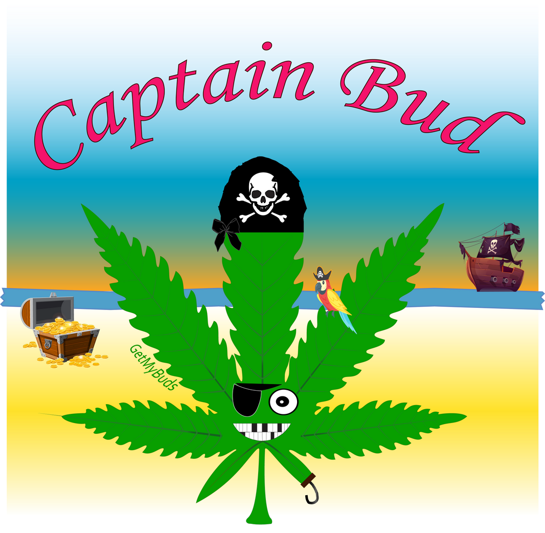Captain Bud - Multisex Tri-Blend T-Shirt