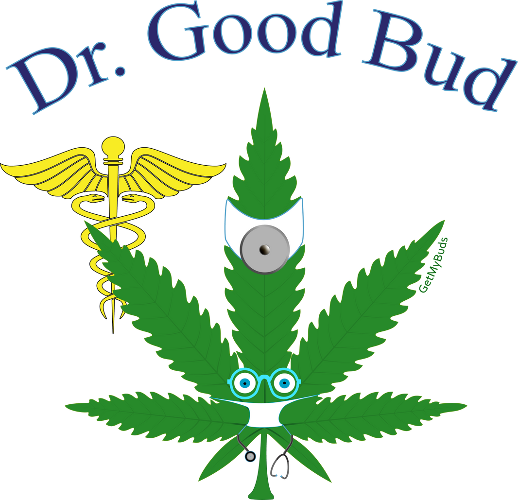 Dr. Good Bud - Unisex Premium Hoodie
