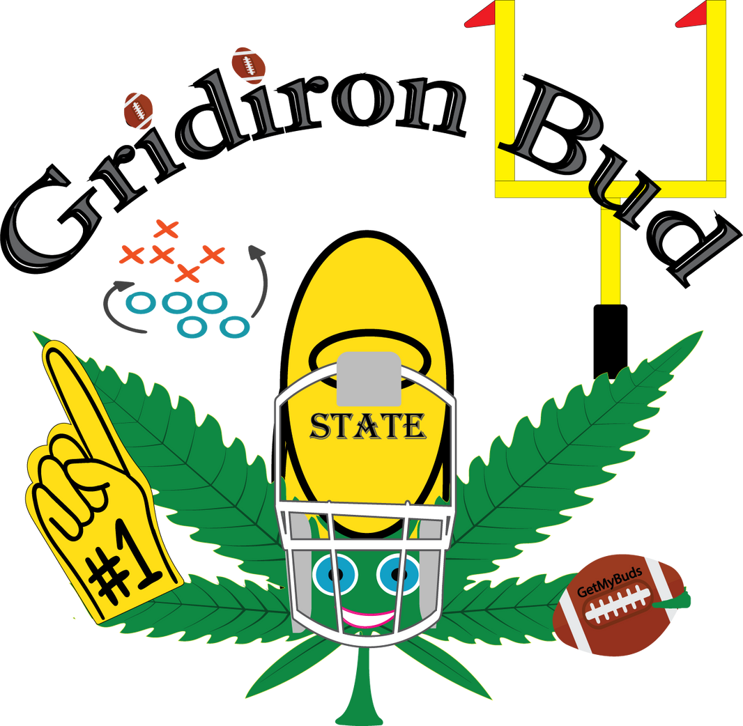 Gridiron Bud - Unisex Premium Hoodie