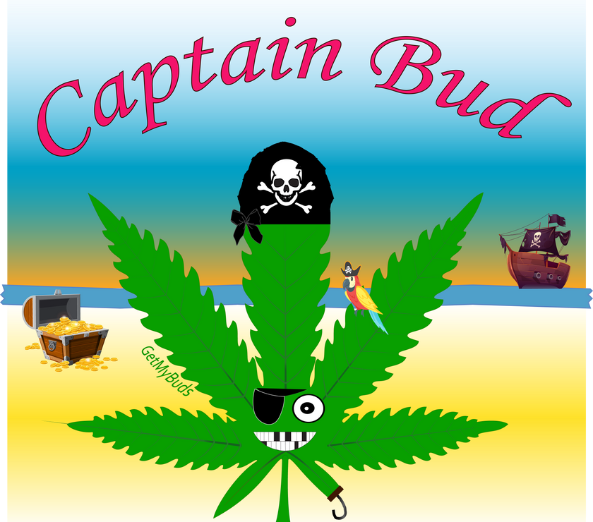 Captain Bud - Multisex Tri-Blend T-Shirt