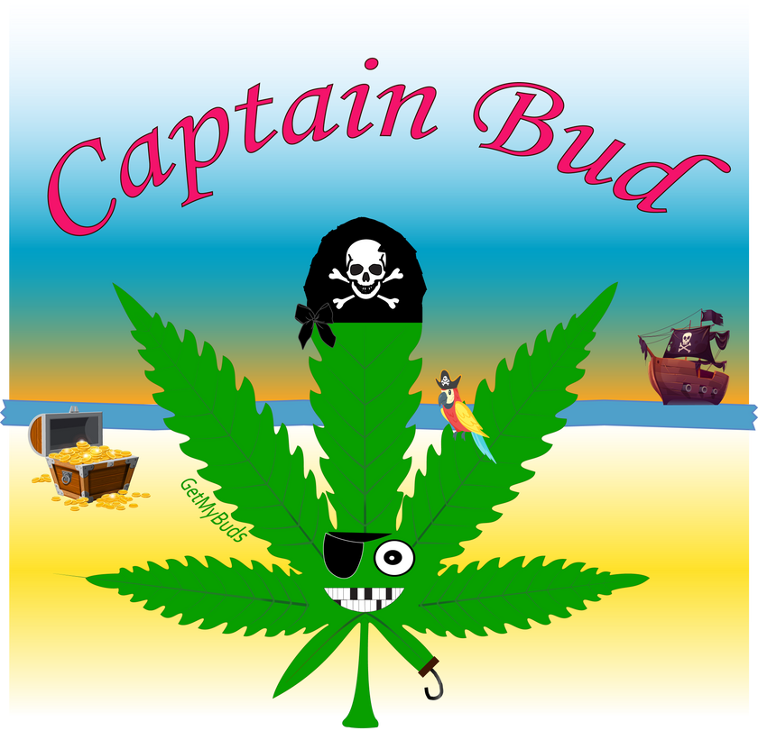 Captain Bud - Multisex Tri-Blend T-Shirt