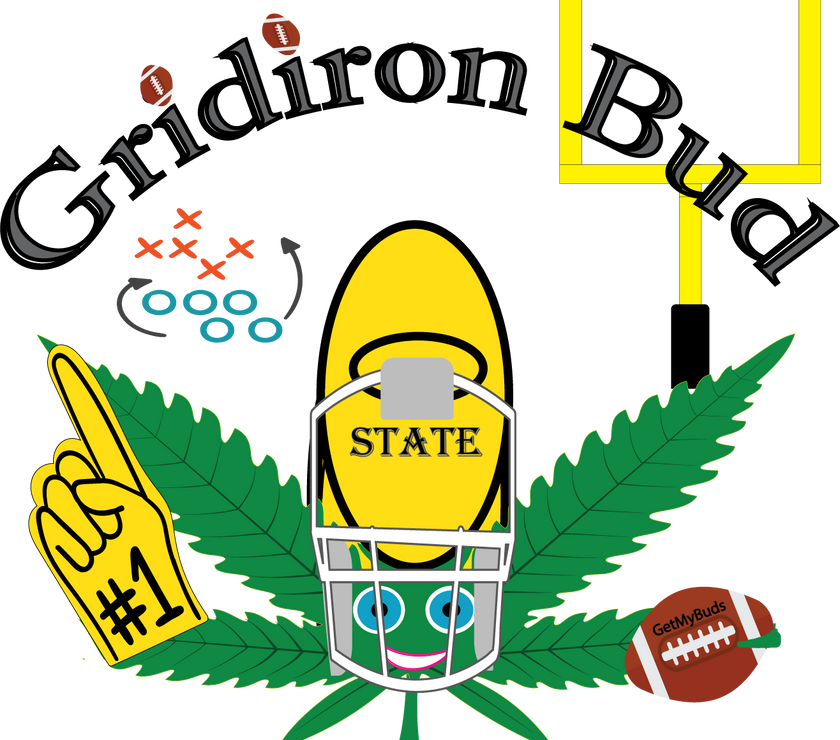 Gridiron Bud - Multisex Tri-Blend T-Shirt